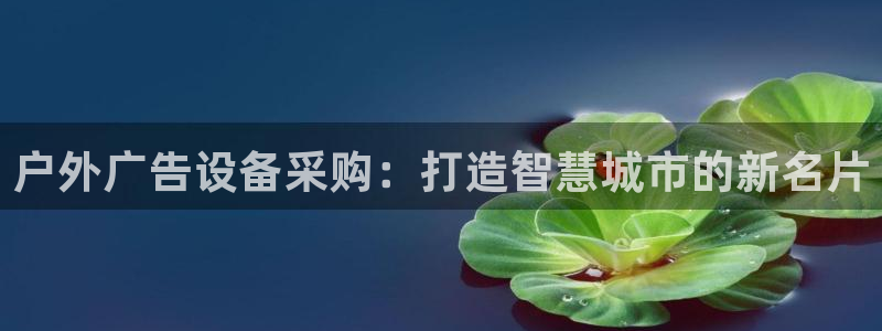 杏宇平台代理怎么样可靠吗：户外广告设备采购：打造智慧城市的新名片