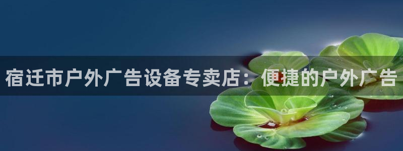 杏宇代理注册：宿迁市户外广告设备专卖店：便捷的户外广告