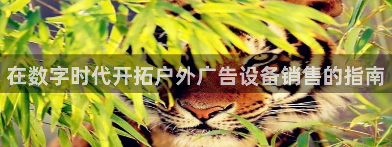 杏宇平台总代理是谁：在数字时代开拓户外广告设备销售的指南