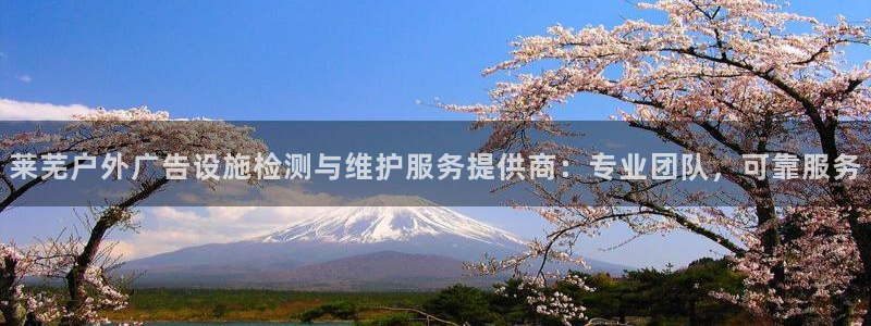 杏宇代理注册：莱芜户外广告设施检测与维护服务提供商：专业团队，可靠服务