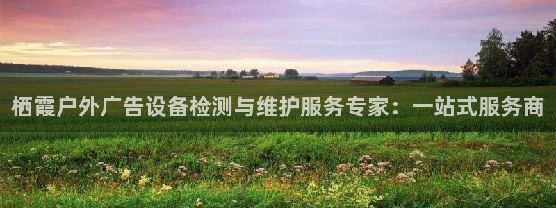 杏宇平台登录步骤图：栖霞户外广告设备检测