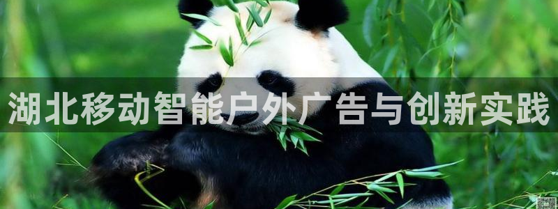 杏宇代理注册：湖北移动智能户外广告与创新